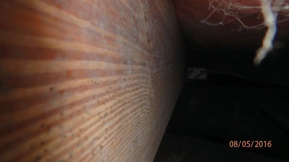Crawl Space Sealing by GSM Services - Photo 5
