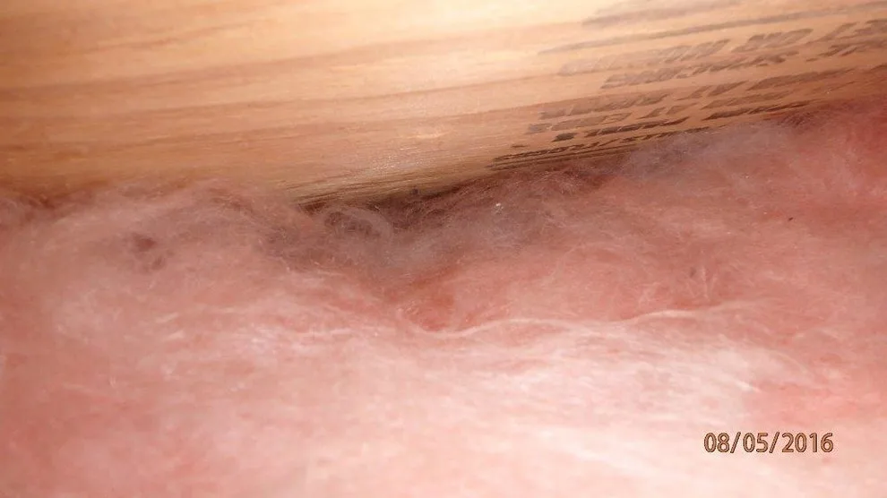 Crawl Space Sealing by GSM Services - Photo 23