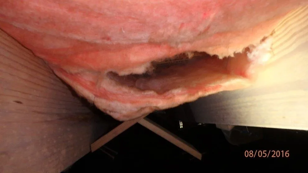 Crawl Space Sealing by GSM Services - Photo 21