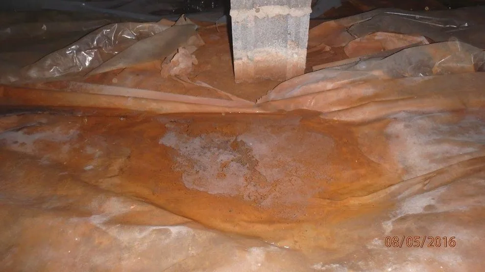 Crawl Space Sealing by GSM Services - Photo 38