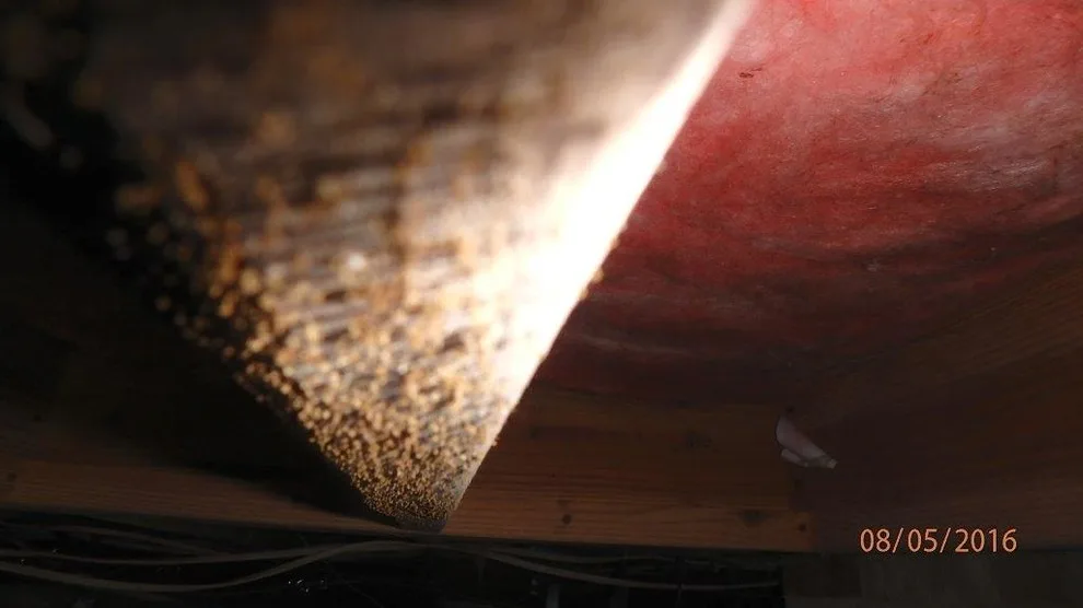 Crawl Space Sealing by GSM Services - Photo 65
