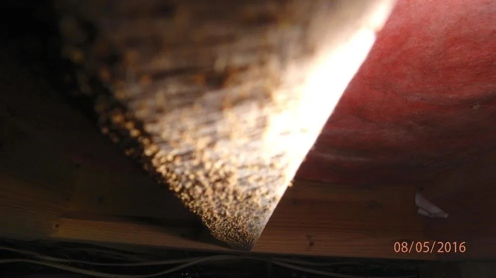 Crawl Space Sealing by GSM Services - Photo 60