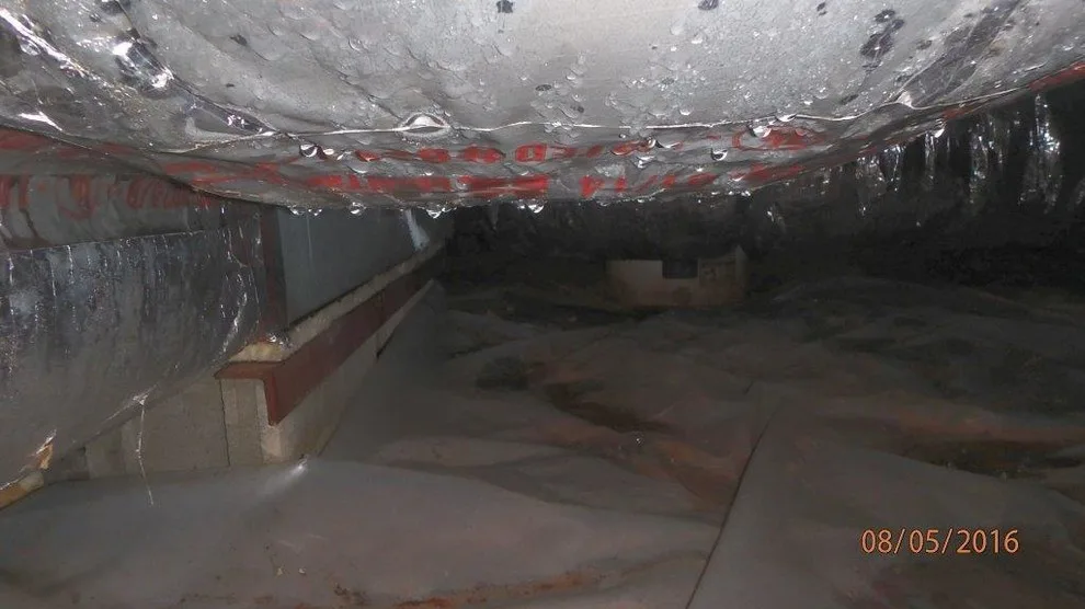 Crawl Space Sealing by GSM Services - Photo 19