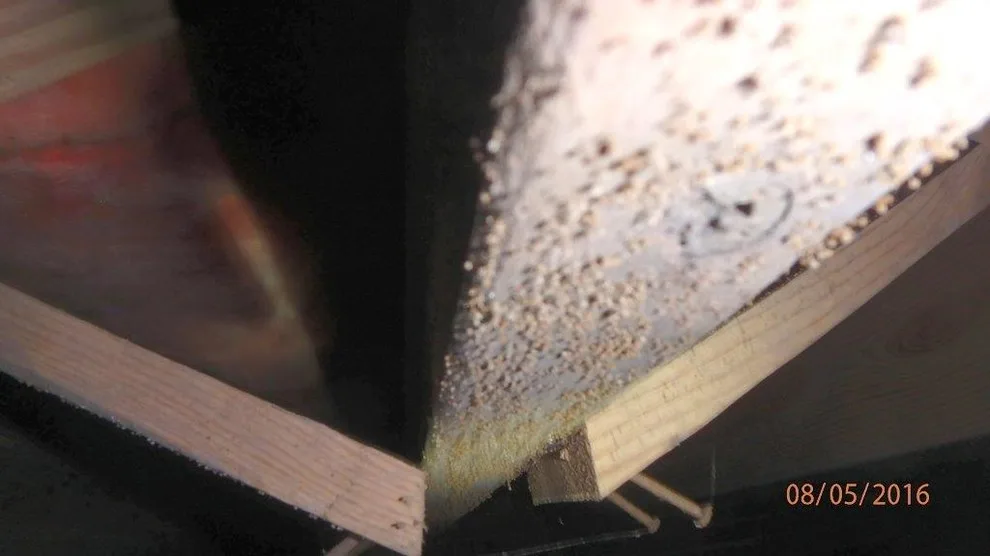 Crawl Space Sealing by GSM Services - Photo 10