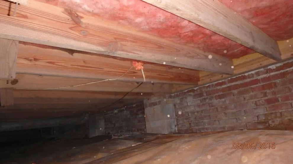 Crawl Space Sealing by GSM Services - Photo 45
