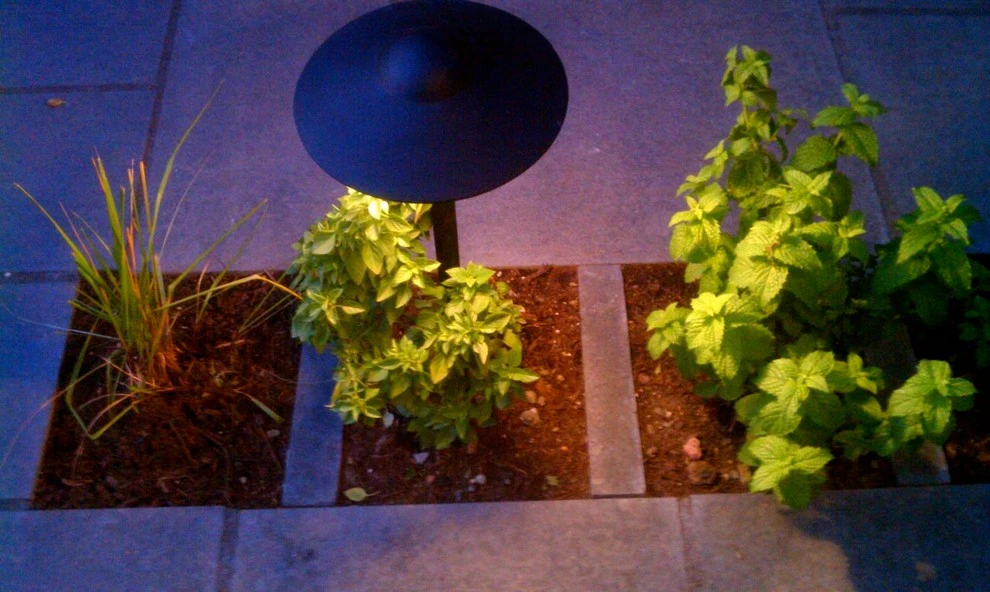 Sage And Stone LLC - Photo 11