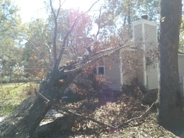 Florence Storm Shelter by 1st Choice Contractors - Photo 19
