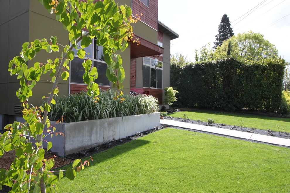 Contemporary Courtyard - (Seattle, WA) by Sage And Stone LLC - Photo 8