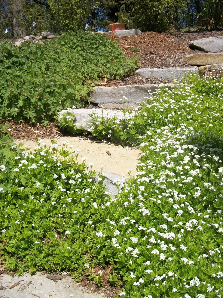 Steps in the Garden by Sargent's Gardens - Photo 8