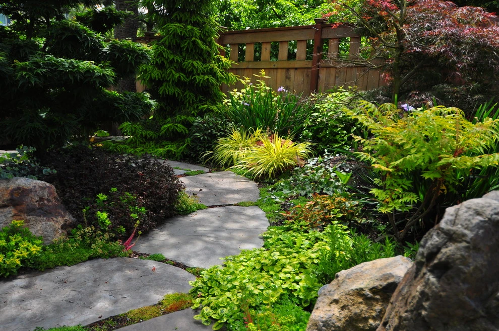Craftsman Maple Garden - (Seattle, WA) by Sage And Stone LLC - Photo 3