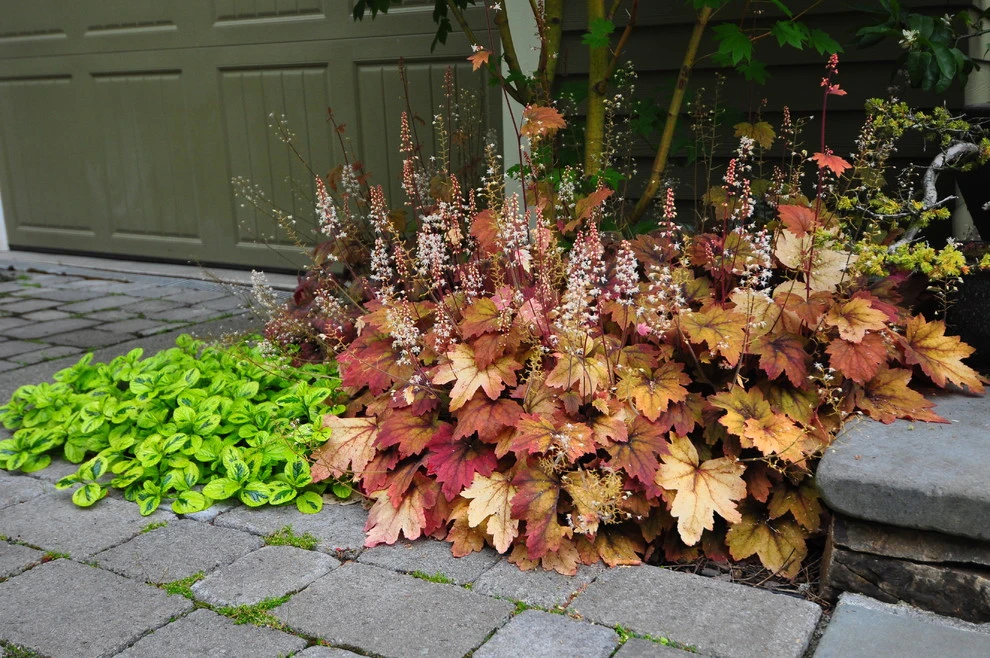 Craftsman Maple Garden - (Seattle, WA) by Sage And Stone LLC - Photo 2