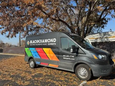 Obsidian Specialists by Black Diamond Experts - Photo 3