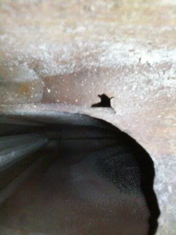 Jerry Kelly Heating & Air Conditioning - Photo 2
