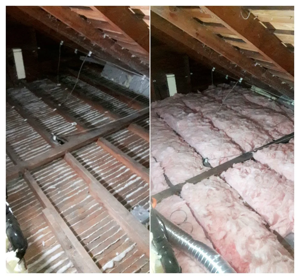 AirGanic - Photo 6
