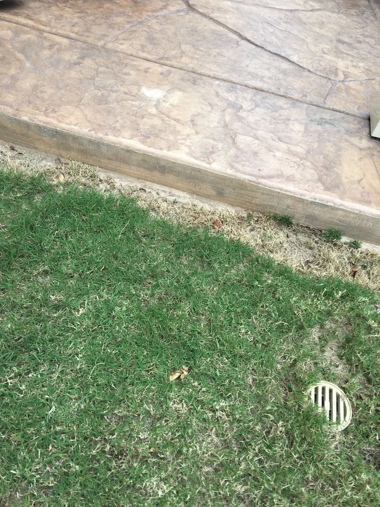 Outdoor Design and Construction by Construction District Inc. - Photo 21
