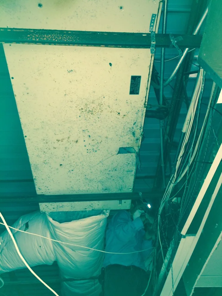 Housing by Kleen Air Services - Photo 10