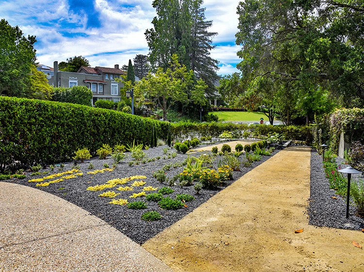 Crocker Avenue by Stack Rock Group - Landscape Architecture - Photo 3