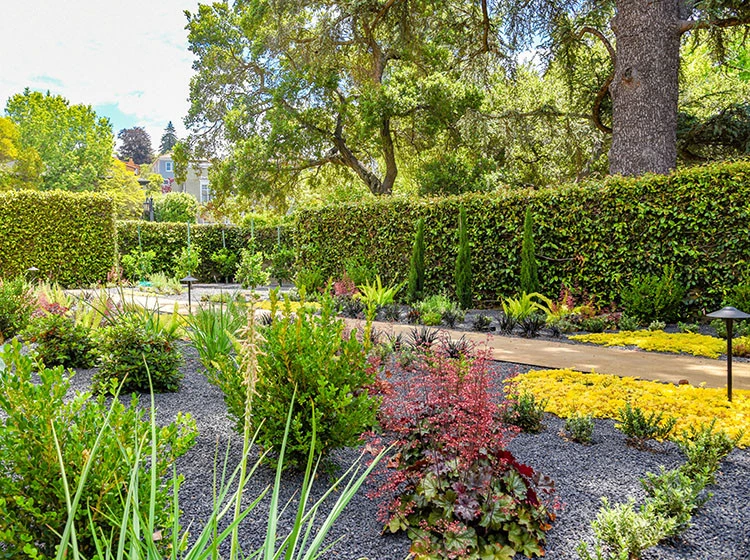 Crocker Avenue by Stack Rock Group - Landscape Architecture - Photo 10