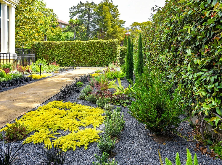 Crocker Avenue by Stack Rock Group - Landscape Architecture - Photo 8
