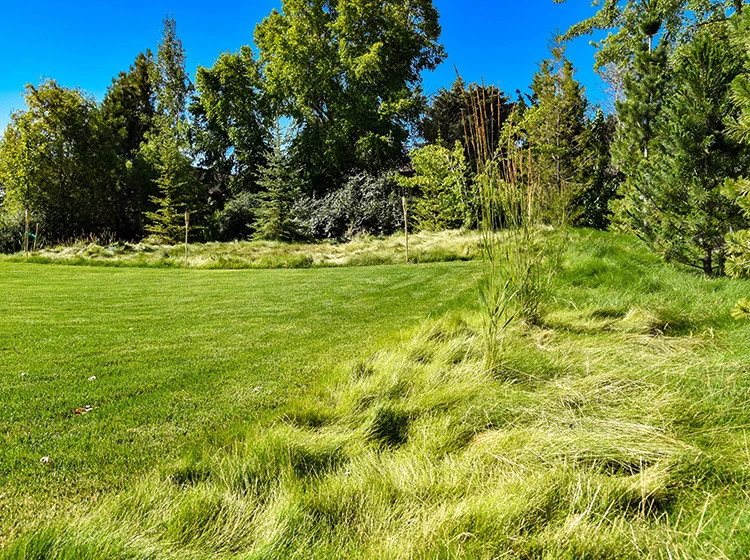 Meule Blanc by Stack Rock Group - Landscape Architecture - Photo 5