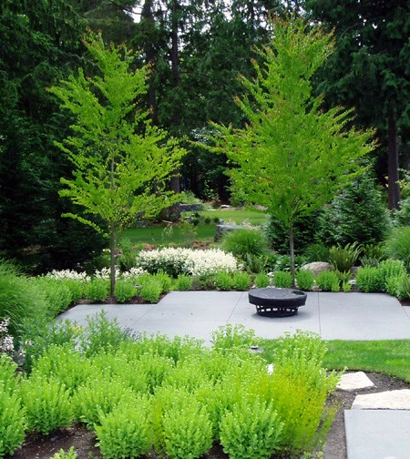 Aspen Residence -Tulalip, WA by Studio 342 Landscape Architecture - Photo 7