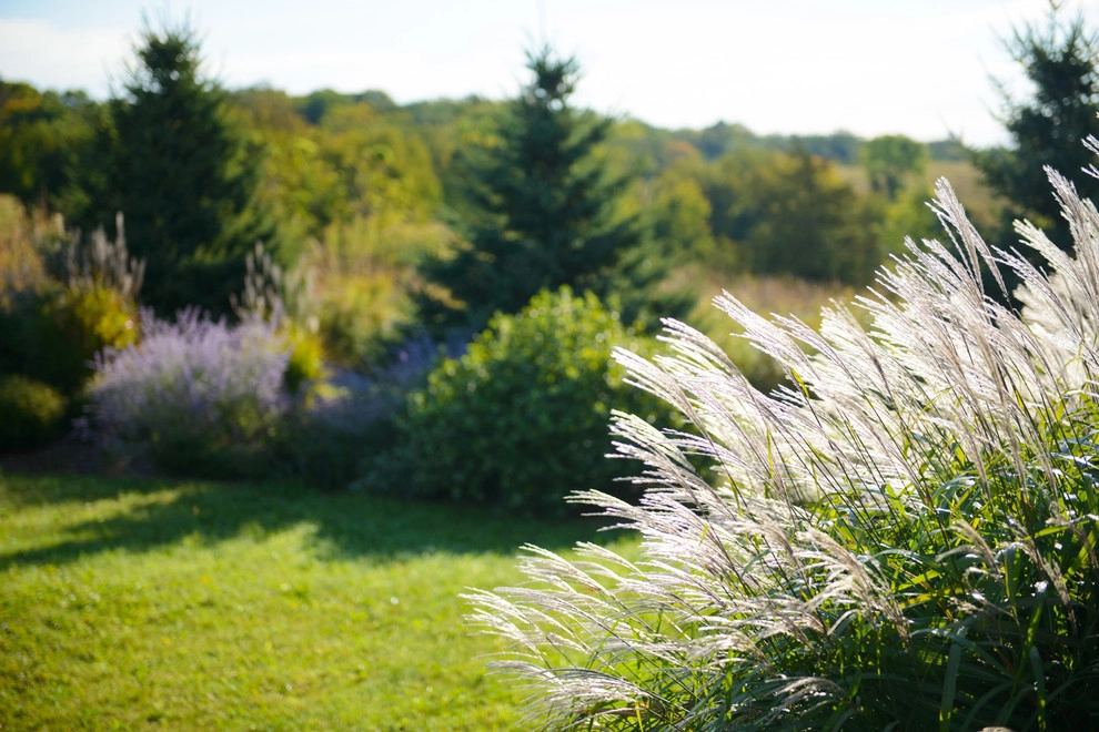 A Touch of Tuscany by Sargent's Gardens - Photo 8