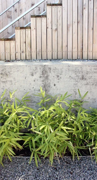 Studio 342 Landscape Architecture - Photo 9