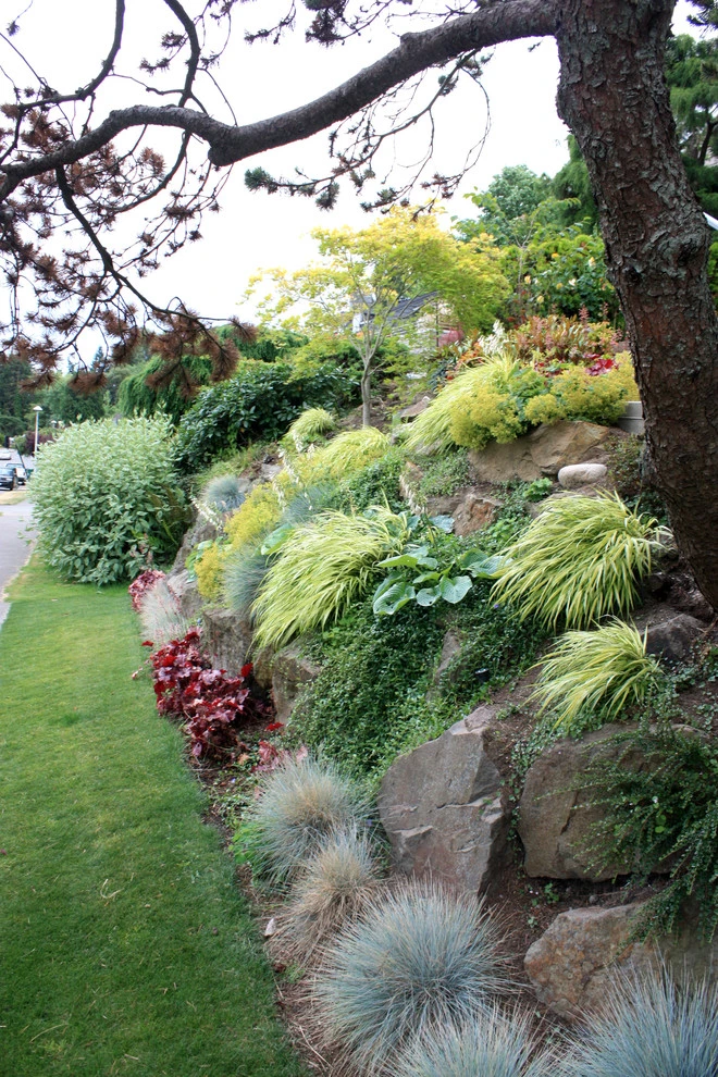 Sand Point Residence -Seattle, WA by Studio 342 Landscape Architecture - Photo 5