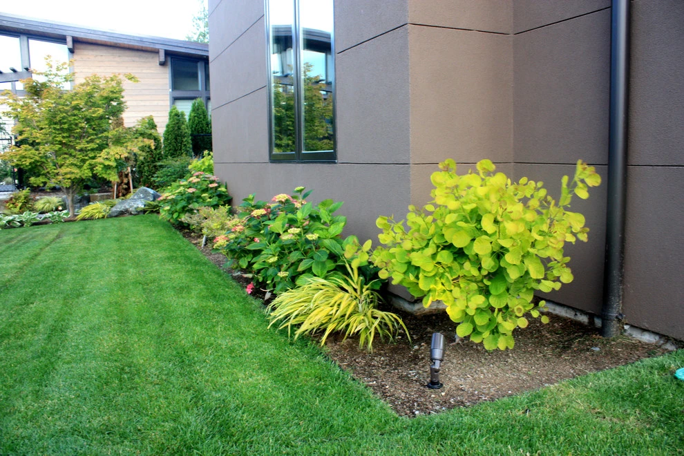 Sunset Residence -Edmonds, WA by Studio 342 Landscape Architecture - Photo 3