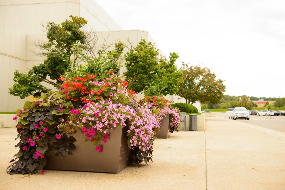 Sargent's Gardens - Photo 7