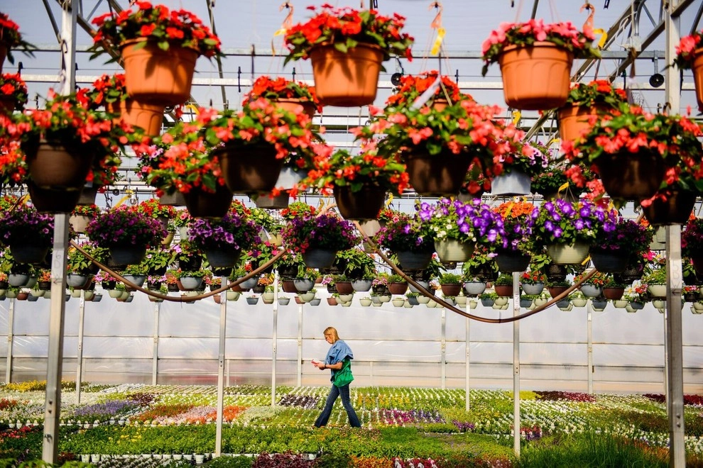 Growing Fabulous for You by Sargent's Gardens - Photo 32