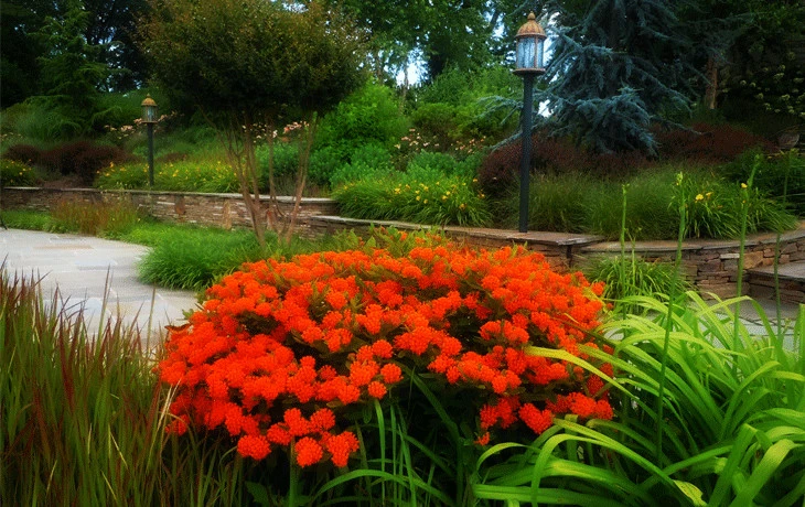Rochelle, VA #1 by Sunny Pond LLC - Photo 3