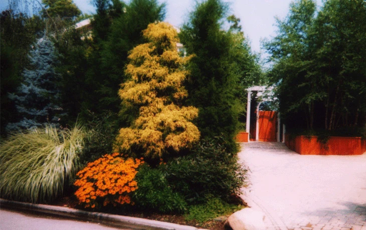 Sunny Pond LLC - Photo 2