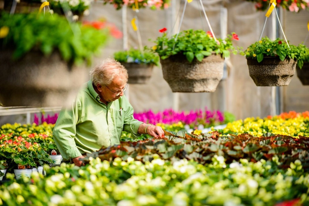 Growing Fabulous for You by Sargent's Gardens - Photo 2