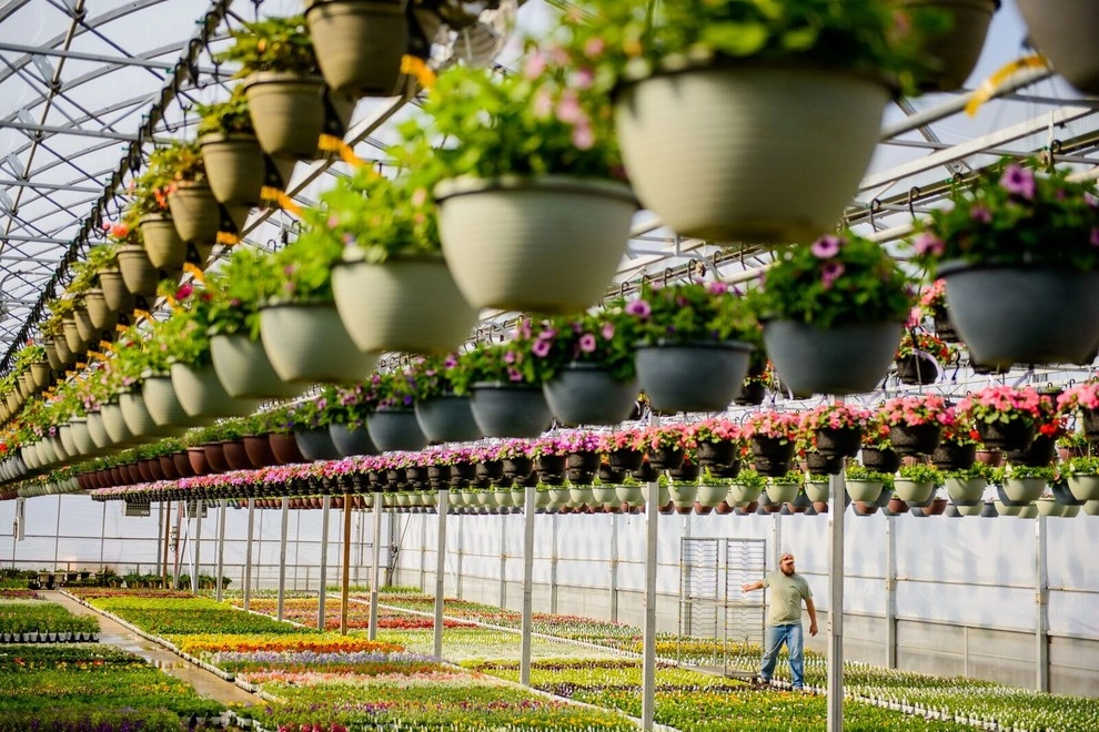 Growing Fabulous for You by Sargent's Gardens - Photo 22