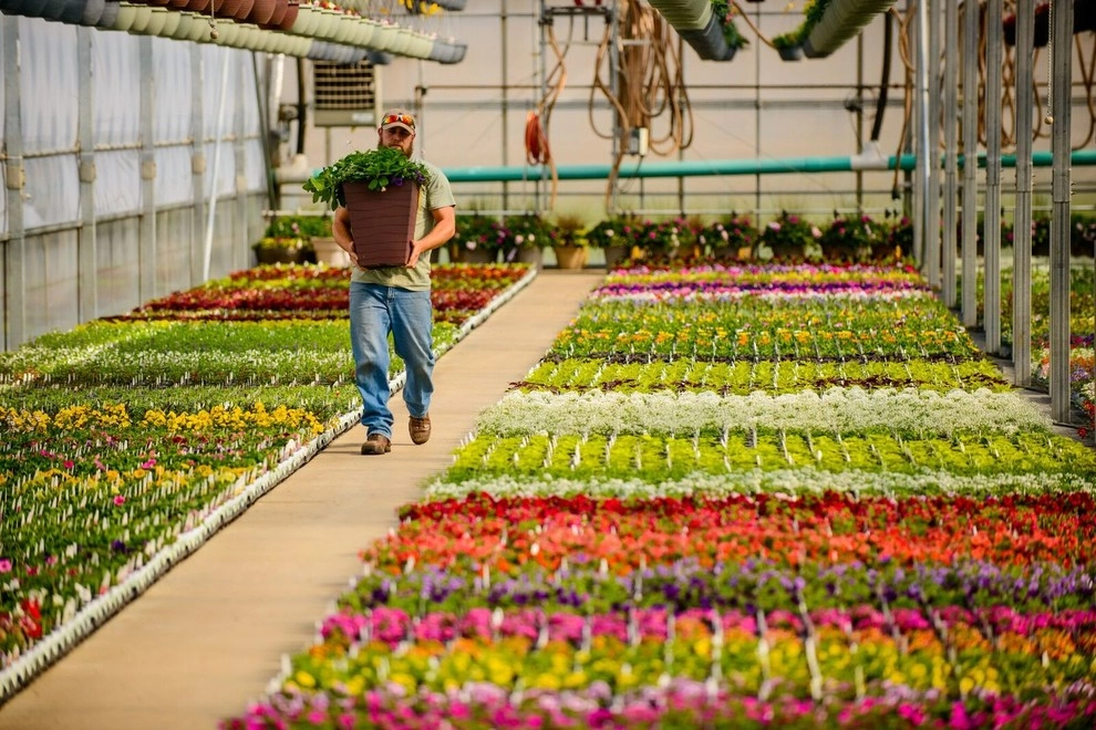 Growing Fabulous for You by Sargent's Gardens - Photo 37