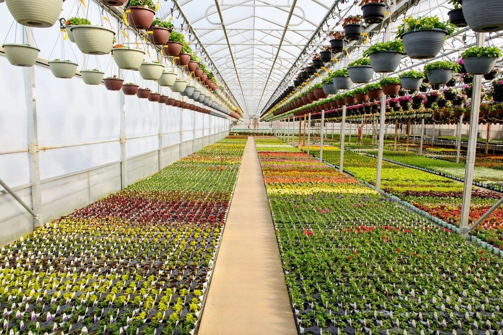 Growing Fabulous for You by Sargent's Gardens - Photo 14