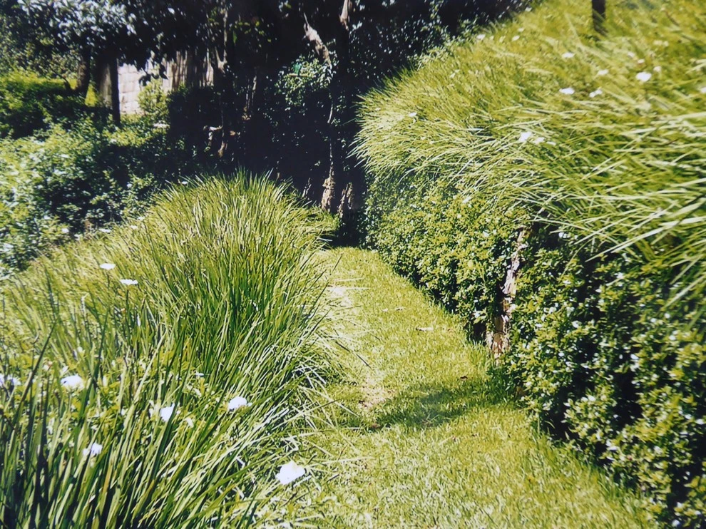 Landscaping with grasses by Sylvia's Landscaping Company, LLC - Photo 2