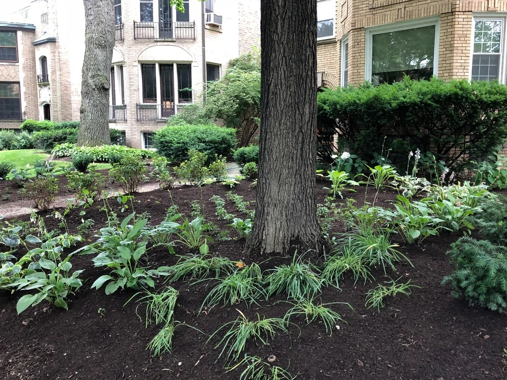 Shade Garden by Sylvia's Landscaping Company, LLC - Photo 4
