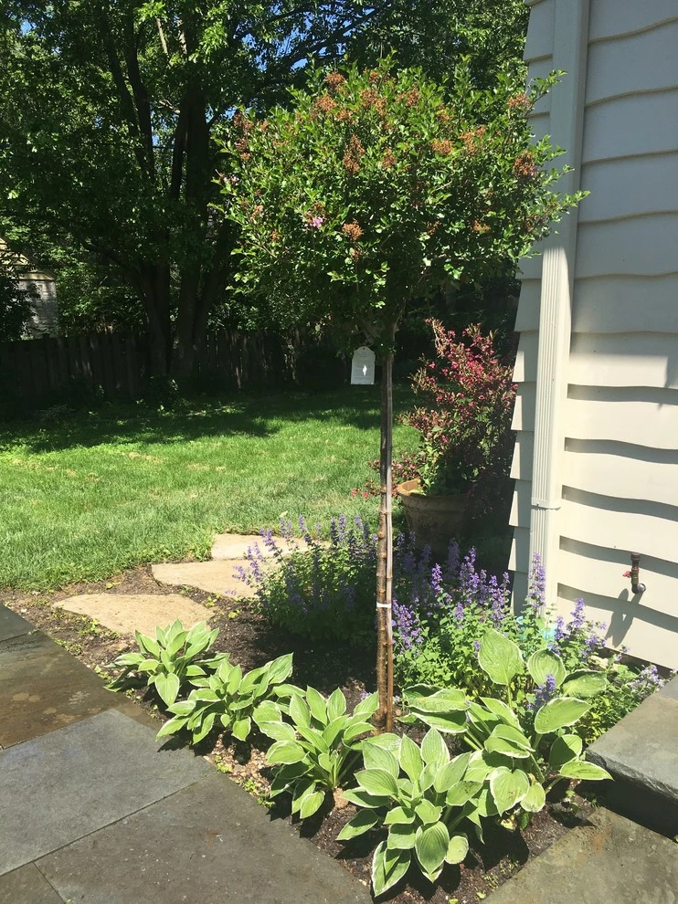 Patio + Landscape by Sylvia's Landscaping Company, LLC - Photo 2