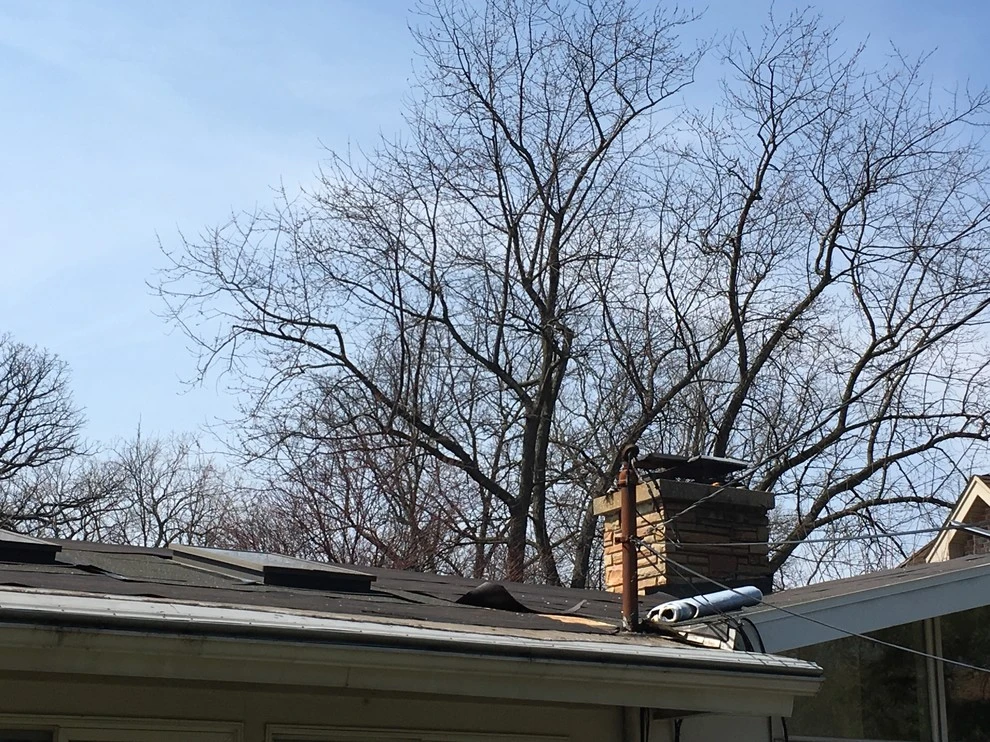 Renovating a House by Sylvia's Landscaping Company, LLC - Photo 9