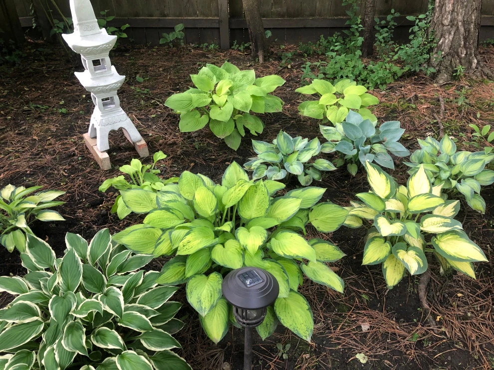 North Shore Landscaping by Sylvia's Landscaping Company, LLC - Photo 4