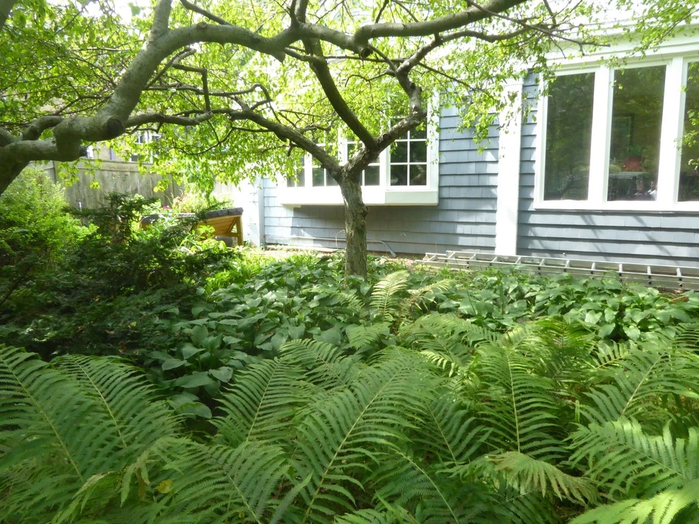 Sylvia's Landscaping Company, LLC - Photo 3