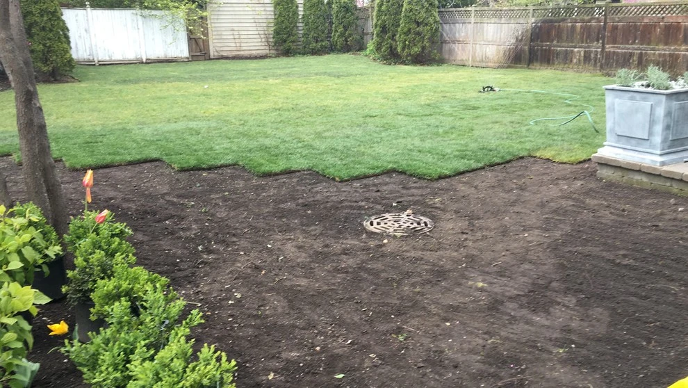Lawn Installation by Sylvia's Landscaping Company, LLC - Photo 3