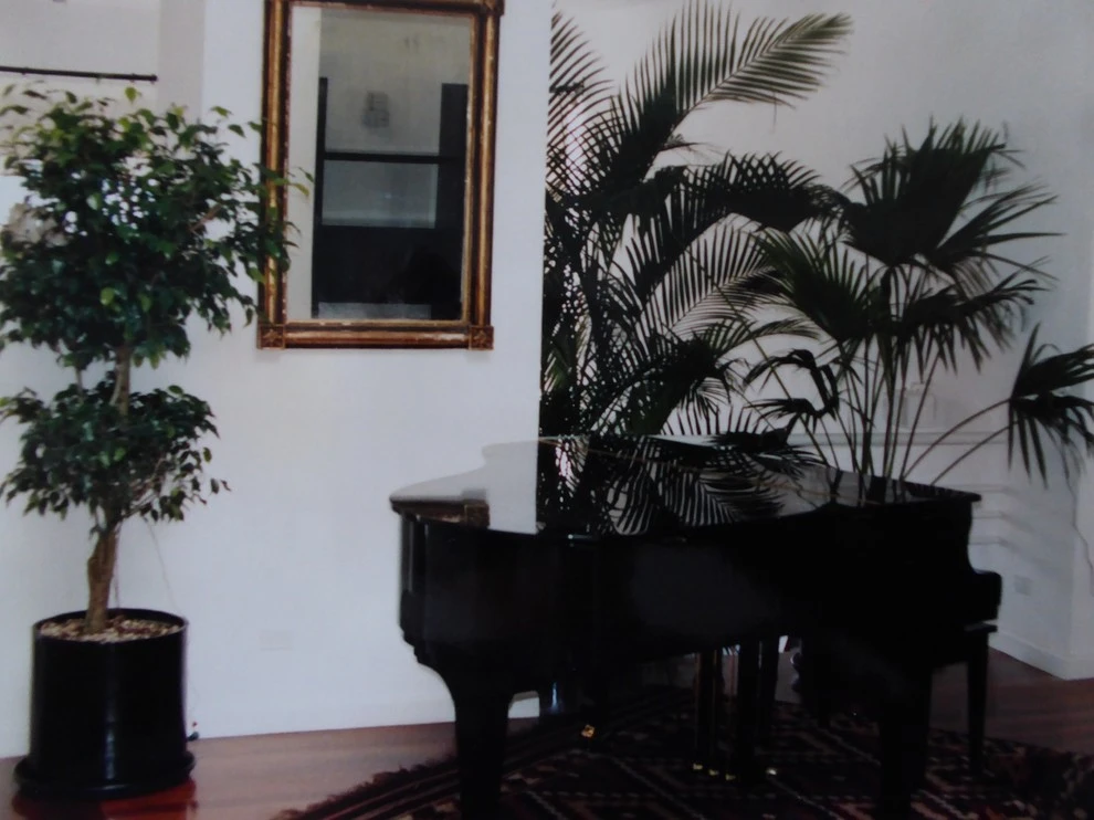 Indoor Pots & Planters by Sylvia's Landscaping Company, LLC - Photo 3