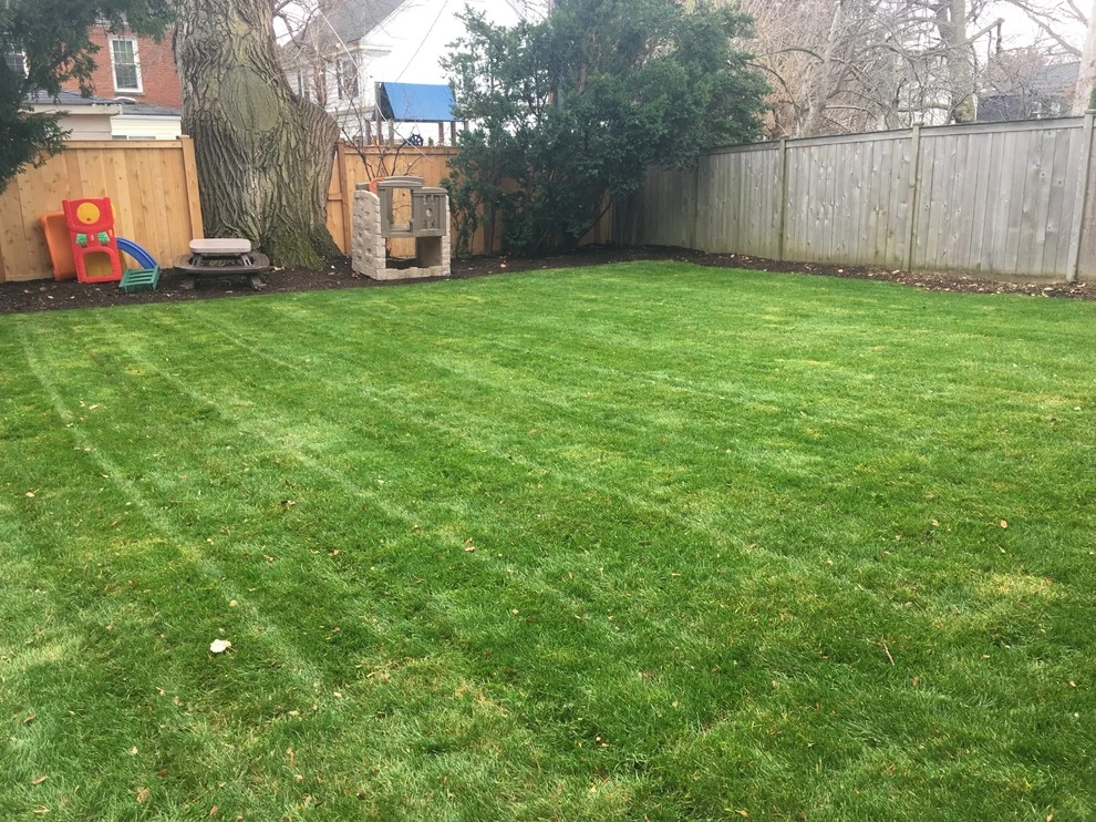 Lawn Installation by Sylvia's Landscaping Company, LLC - Photo 2
