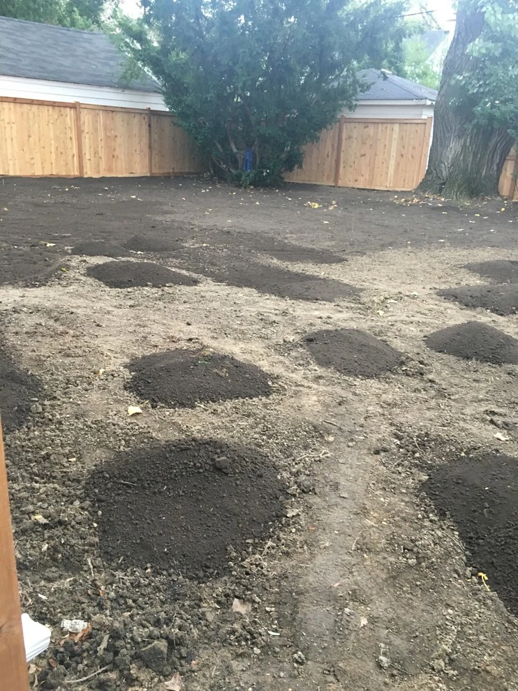 Lawn Installation by Sylvia's Landscaping Company, LLC - Photo 5