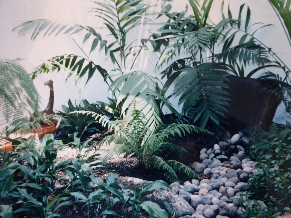 Indoor Pots & Planters by Sylvia's Landscaping Company, LLC - Photo 2