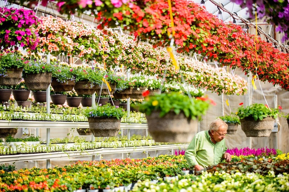 Growing Fabulous for You by Sargent's Gardens - Photo 41