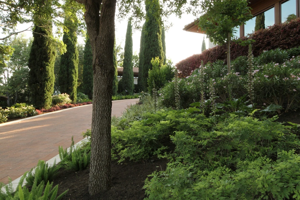 Austin Residence 3 by The Garden Design Studio - Photo 2